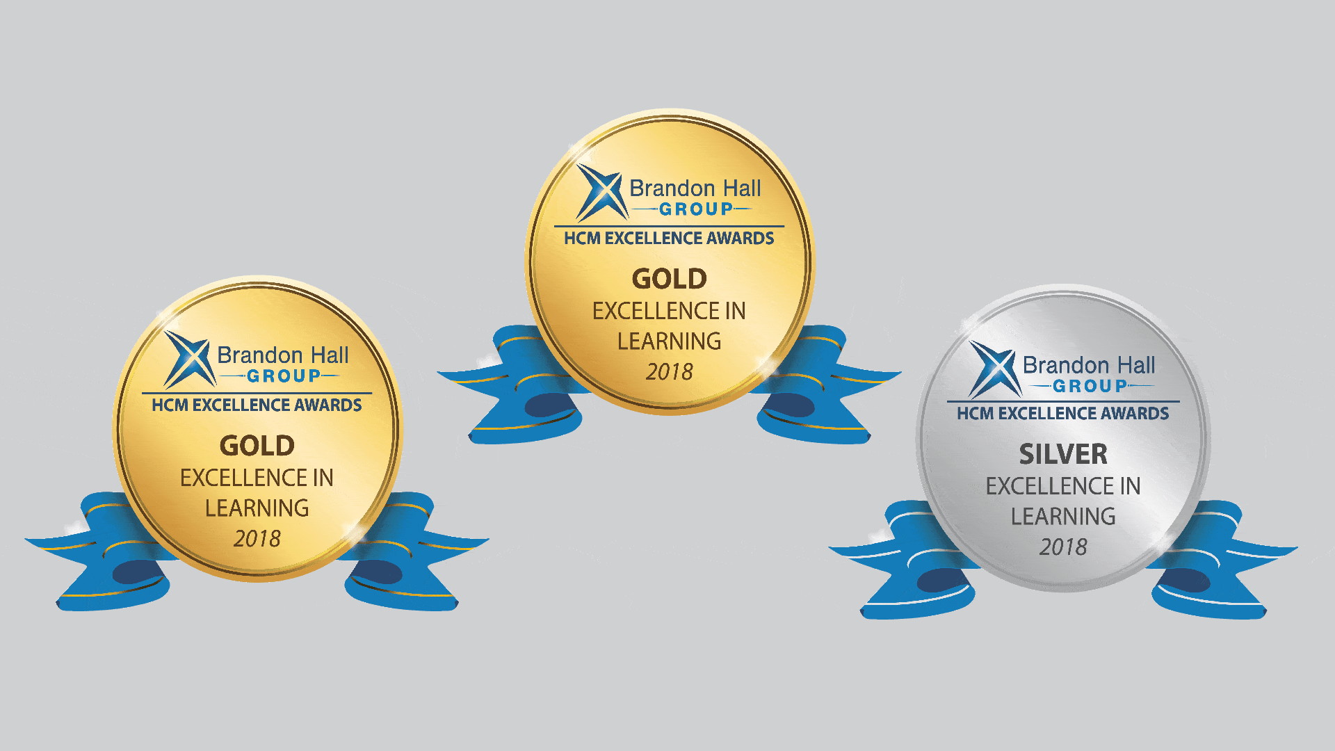 HCM Excellence Awards logos
