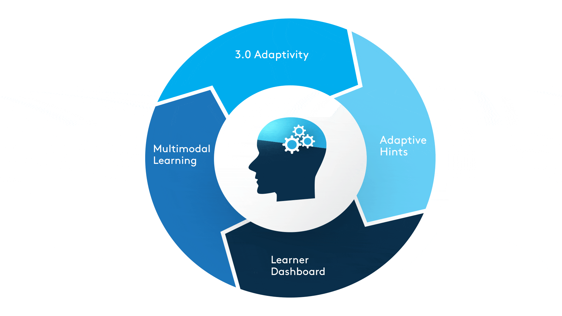 Learner-centric features